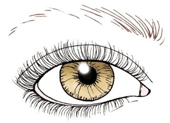 Cách trang điểm khắc phục nhược điểm lông mày ngắn, thưa thớt và bạc màu